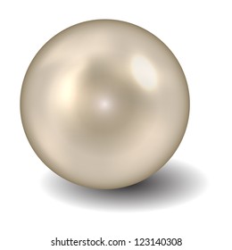 Pearl vector illustration
