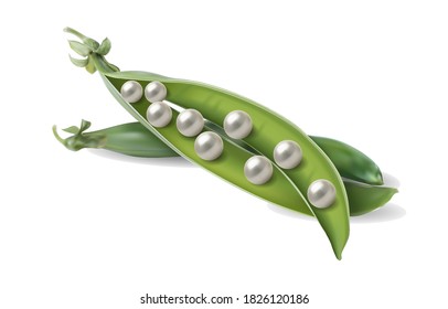 Pearls in a green pea pod. 3d vector illustration