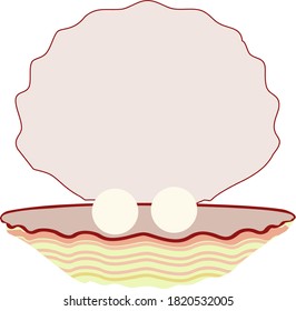 Pearls in the shell on white backgrund. Vector
