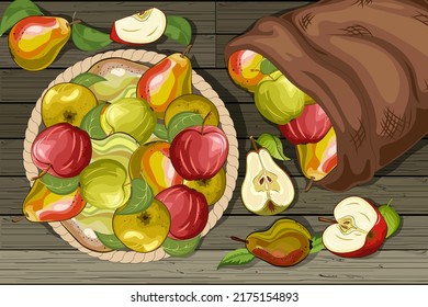 Pears and apples in a basket.Basket and bag on wooden background with apples and pears in vector illustration.