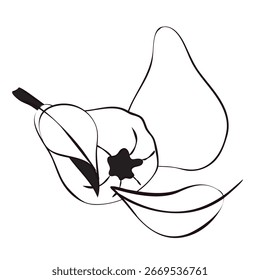 Pears in doodle style. Compositions of ripe fruits. Vector illustration isolated on white background.