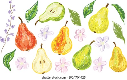 Pears, flowers and leaves. Set of colorful bright elements, collection for trendy summer design. Hand drawn vector. Isolated on white background. Clip-art for poster, print, frame, banner, flyer