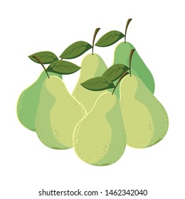 pears fresh fruit in white background