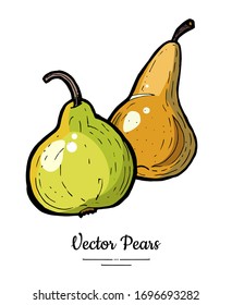 Pears fruits vector isolate. Green brown whole pear fruit hand drawn illustration. Trendy food vegetarian sweet ripe fruit icon logo sketch line art style. Pear illustration isolated white background