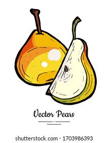 Pears fruits vector isolate. Pear whole chopped quarter slice. Fruit hand drawn illustration. Trendy food vegetarian sweet fruit icon logo sketch style. Red yellow pear illustration white background