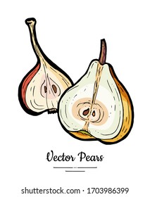 Pears fruits vector isolate. Pear chopped half cut slice. Fruit hand drawn illustration. Trendy food vegetarian sweet fruit icon logo sketch style. Red yellow green pear illustration white background
