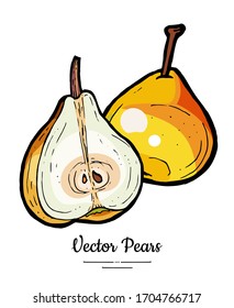Pears fruits vector isolate. Pear whole chopped half cut slice. Fruit hand drawn illustration. Trendy food vegetarian sweet fruit icon logo sketch style. Red yellow pear illustration white background