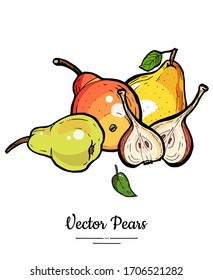 Birnenfrucht-Vektorillustration-Isolat-Set. Grüngelbe Vollbirne, handgezeichnet. Trendy Food vegetarische süße reife Früchte Logo Sketch Linie Stil. Birnenkunst einzeln auf weißem Hintergrund