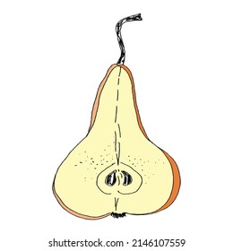 Pears hand drawn outline. The black line art on a white background. Vector element isolated.
