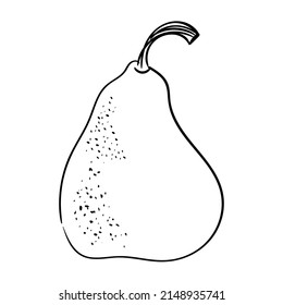 Pears hand drawn outline. The black line art on a white background. Vector element isolated.