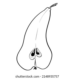 Pears hand drawn outline. The black line art on a white background. Vector element isolated.