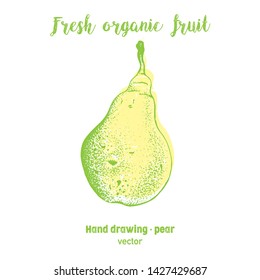 Pears illustration, pen drawing, hand drawing, vector illustration