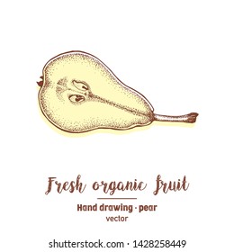 Pears illustration, pen drawing, hand drawing, vector illustration