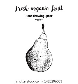 Pears illustration, pen drawing, hand drawing, vector illustration