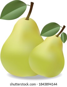 pears (nashpati) - juicy fruit