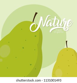 Pears nature fruit