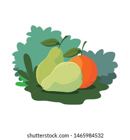 pears and orange fresh fruits on grass nature