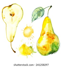 Pears painted watercolor, watercolor fruit on a white background. Bright pear. Vector watercolor