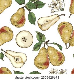 Pears seamless pattern vector illustration