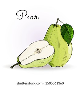 Pears. Set of fresh fruit green, yellow color. Whole pear, slices, cut pieces, leafs.  Vector illustration isolated on white background. Hand drawn. Colorful botanical sketch. Engraving.