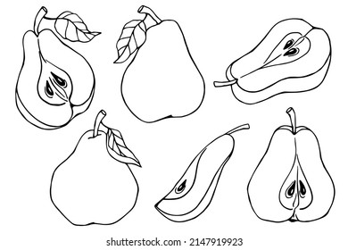 Pears sketch set. Vector graphics.