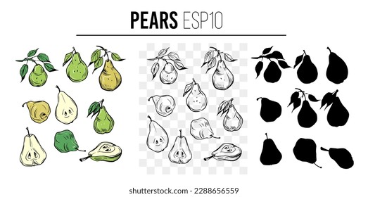 Pears sketches. Set of fruit objects isolated on transparent background. Elements for desing, great for creating  pattern 