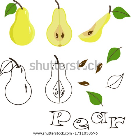 Pears with slices. Vector illustration on white background. Food set. Isolated set vector illustration. Food icon pears.