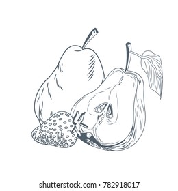 Pears and strawberry hand draw