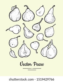 Pears vector isolated. Fruits collection hand drawn set. Trendy food vegetarian menu, fruit icons set in black and white ink style. Whole and chopped pears with leaves. Sweet fruits illustration