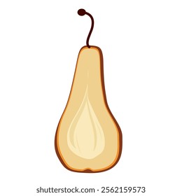 Pear-shaped fruit cut in half. Vector illustration
