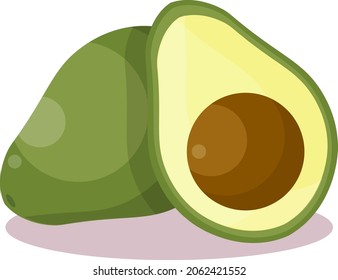a pear-shaped fruit with a rough leathery skin, smooth oily edible flesh, and a large stone.