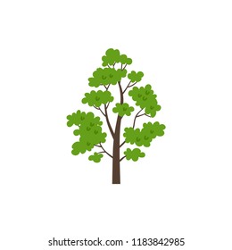 Pear-tree isolated on white background. Vector cartoon illustration sapling for forest landscape. Environment elements in flat style