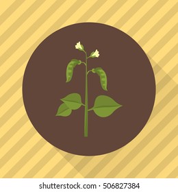 Peas agriculture crop. Color flat icon