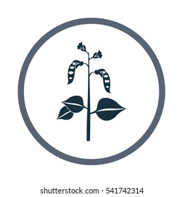 Peas agriculture crop icon. Simple design for web and mobile