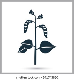 Peas agriculture crop icon. Simple design for web and mobile