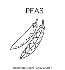 Peas beans vegetable line icon