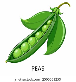 Peas in cartoon style on a white background. Vector illustration.