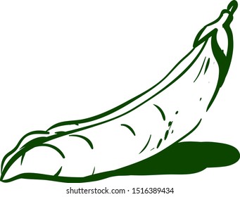 Peas drawing, illustration, vector on white background.