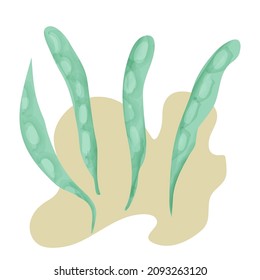 Peas drawing on the background, hand-drawn, vector graphics. Template for your design.