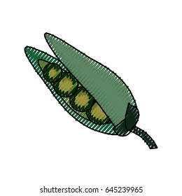 Peas fresh vegetable