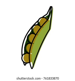 Peas fresh vegetable