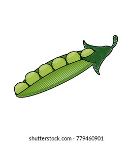 Peas fresh vegetable