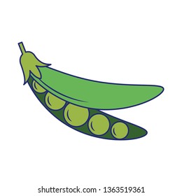 Peas fresh vegetable blue lines