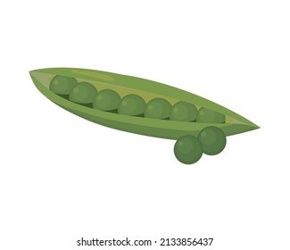 peas fresh vegetable icon vector