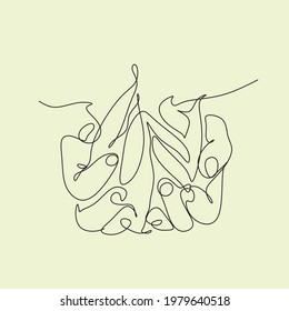 arveja en vector de arte de línea de mano. arte de línea de verduras