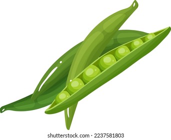 Peas High Resolution Vector Illustration.