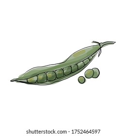 Peas icon in flat style. Isolated object. Peas logo. Vegetable from the garden. Organic food. Vector illustration.