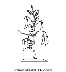 Peas icon in outline style isolated on white background. Plant symbol stock vector illustration.