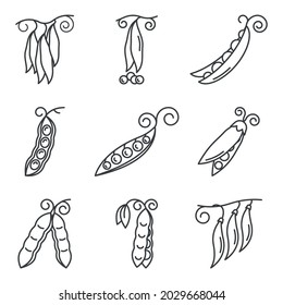 Iconos Peas. Un simple dibujo de línea de diferentes tipos de guisantes. Esbozos para diseño web. Vector aislado sobre fondo blanco puro.