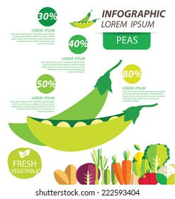 peas , infographics. vegetables vector illustration